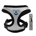 Breathable Mesh Dog Harness and Leash Set